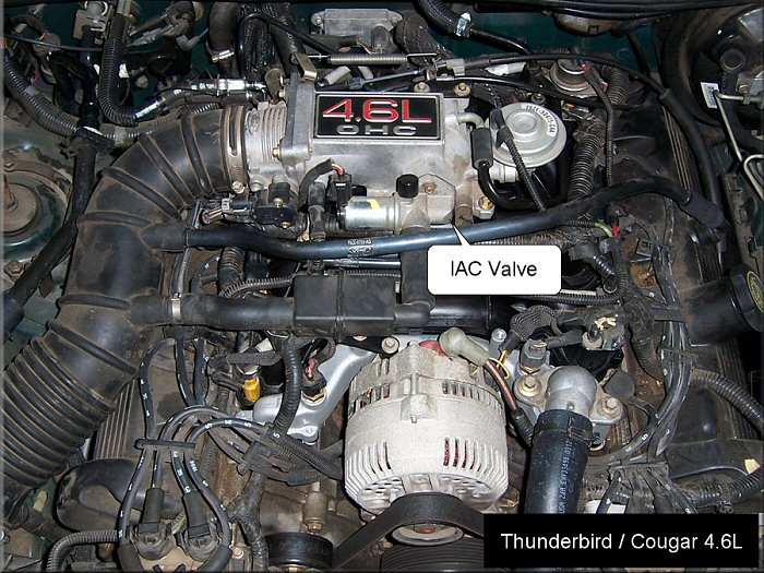 2001 Ford expedition iac valve #1